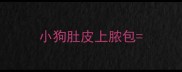 小狗肚皮上脓包