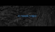 打了疫苗得了犬瘟热