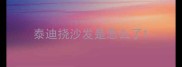 泰迪挠沙发是怎么了