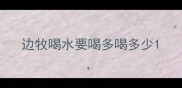 边牧喝水要喝多喝多少
