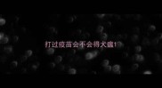 打过疫苗会不会得犬瘟