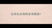 拉布拉多狗狗老有眼屎