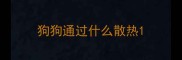 狗狗通过什么散热