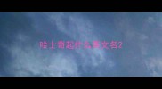 哈士奇起什么英文名