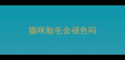 猫咪胎毛会褪色吗