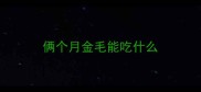 俩个月金毛能吃什么