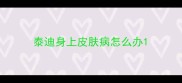 泰迪身上皮肤病怎么办