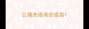 公猫先绝育后疫苗