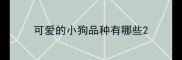 可爱的小狗品种有哪些