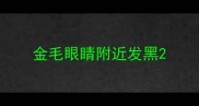 金毛眼睛附近发黑