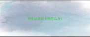 刚生出来的小狗怎么办