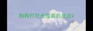 狗狗打狂犬疫苗后反应