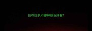 拉布拉多犬哪种颜色好看