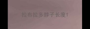 拉布拉多脖子长度