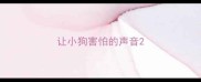 让小狗害怕的声音