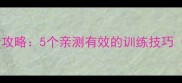 拉布拉多变聪明全攻略5个亲测有效的训练技巧附科学原理