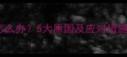 狗狗鼻子发烫怎么办5大原因及应对措施养宠必看