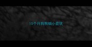 15个月狗狗细小症状