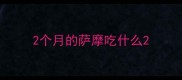 2个月的萨摩吃什么