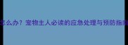 五联疫苗弄手上怎么办宠物主人必读的应急处理与预防指南附详细步骤