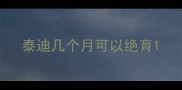 泰迪几个月可以绝育