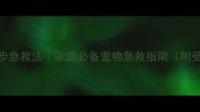 紧急处理篇小狗受伤5步急救法家庭必备宠物急救指南附受伤类型与处理方案
