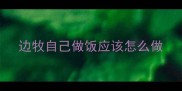 边牧自己做饭应该怎么做