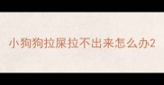 小狗狗拉屎拉不出来怎么办