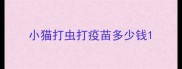 小猫打虫打疫苗多少钱