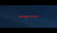 狗狗爱睡觉没精神