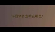 许昌领养宠物在哪里