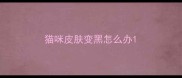 猫咪皮肤变黑怎么办