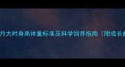 边牧6个月大时身高体重标准及科学饲养指南附成长曲线图