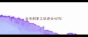 金毛剃毛之后还会长吗