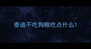 泰迪不吃狗粮吃点什么