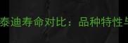茶杯泰迪与普通泰迪寿命对比品种特性与科学养护指南