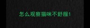 怎么观察猫咪不舒服