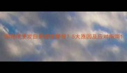 狗狗便便发白是健康警报5大原因及应对指南
