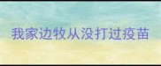 我家边牧从没打过疫苗