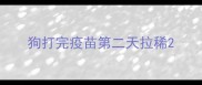 狗打完疫苗第二天拉稀
