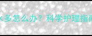 拉布拉多犬口水多怎么办科学护理指南及常见误区全