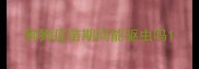 狗狗疫苗期间能驱虫吗