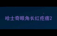 哈士奇眼角长红疙瘩