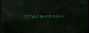 边牧幼犬鼻子凉但是干