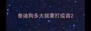 泰迪狗多大就要打疫苗