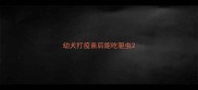 幼犬打疫苗后能吃驱虫