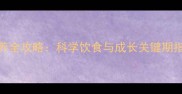 金毛犬7个月喂养全攻略科学饮食与成长关键期指南附食谱