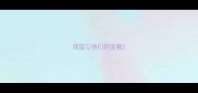 明星与他们的宠物