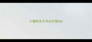 小猫咪多大可以打驱虫