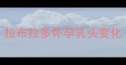拉布拉多怀孕乳头变化